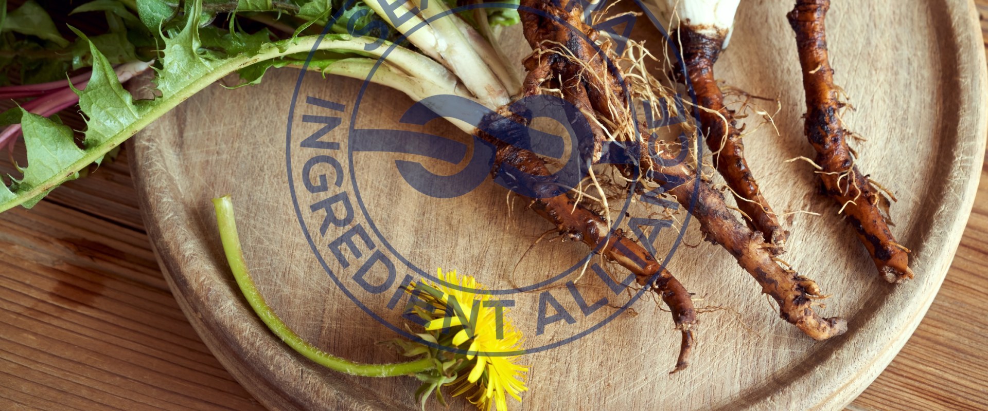 Unlocking the Detox Power of Dandelion Tea: Benefits and Uses