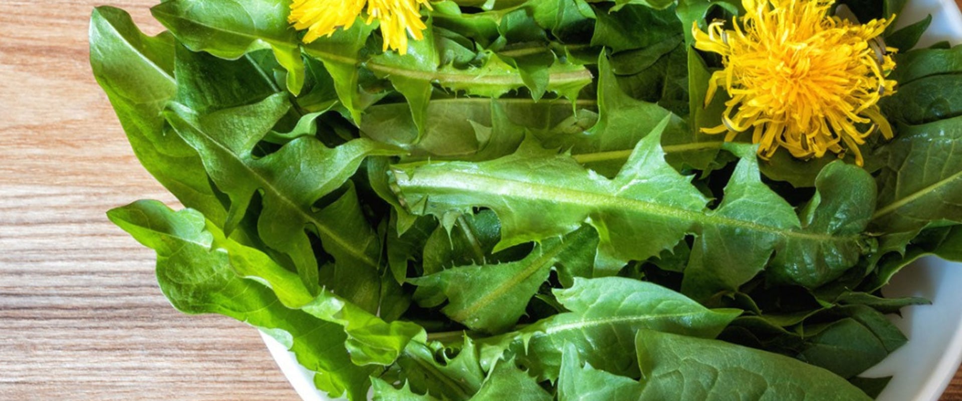 The Surprising Health Benefits of Eating Dandelions Everyday