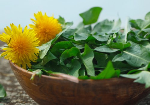 The Power of Dandelion: A Detoxifying Herb for Optimal Health